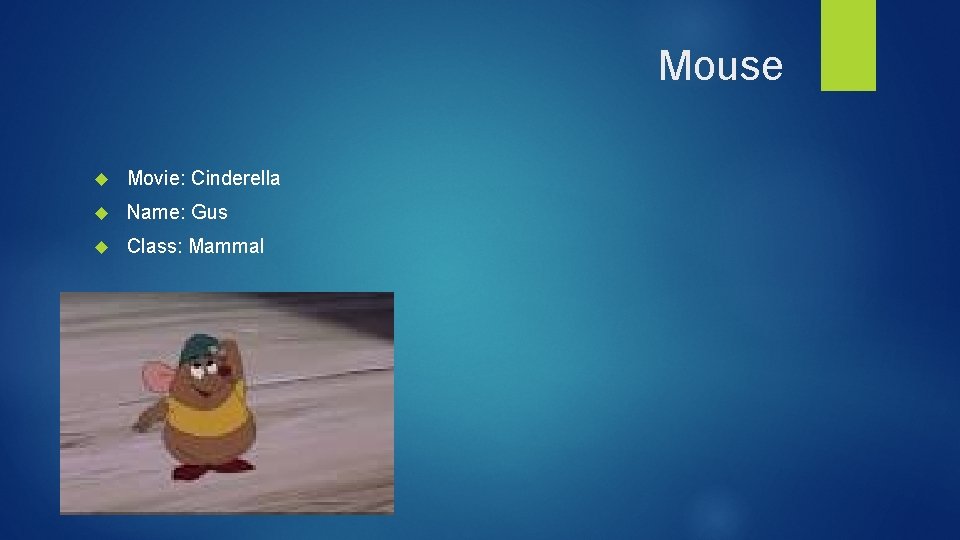 Mouse Movie: Cinderella Name: Gus Class: Mammal 