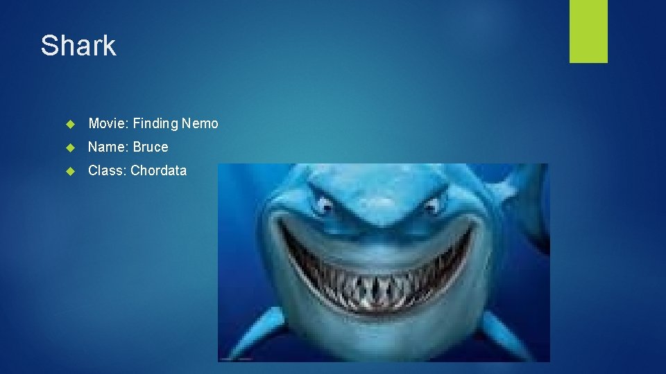 Shark Movie: Finding Nemo Name: Bruce Class: Chordata 