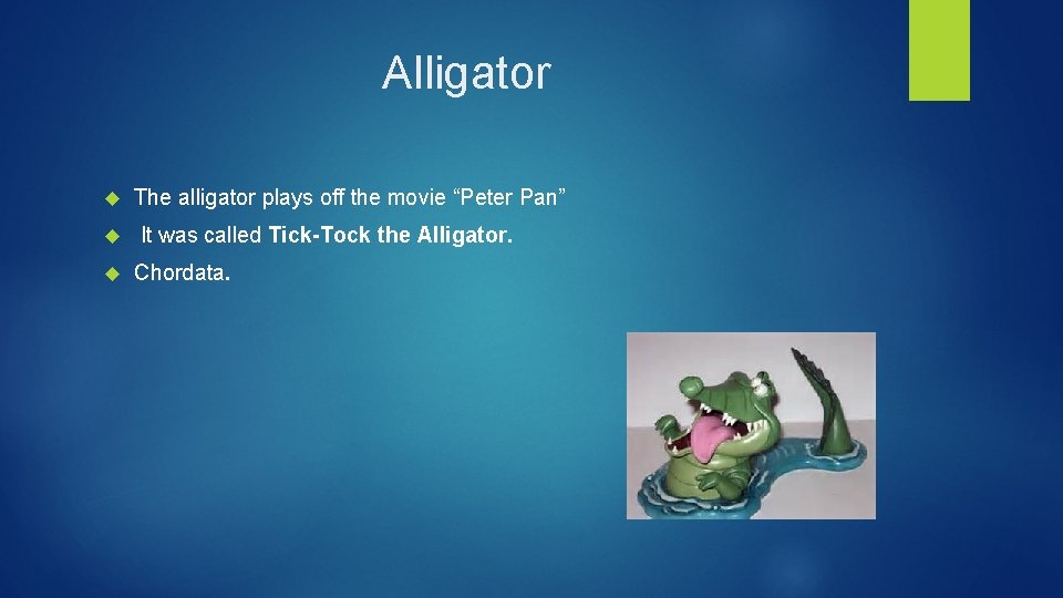 Alligator The alligator plays off the movie “Peter Pan” It was called Tick-Tock the