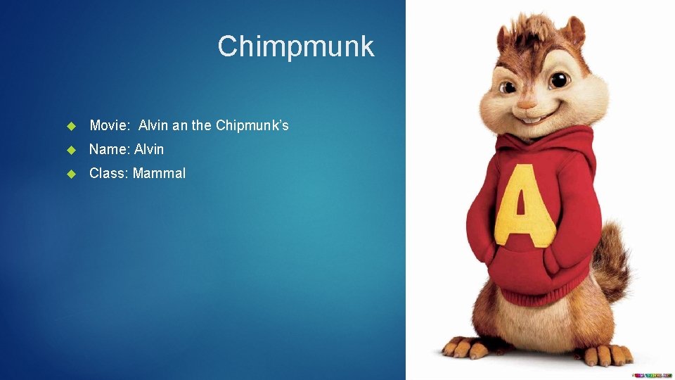 Chimpmunk Movie: Alvin an the Chipmunk’s Name: Alvin Class: Mammal 