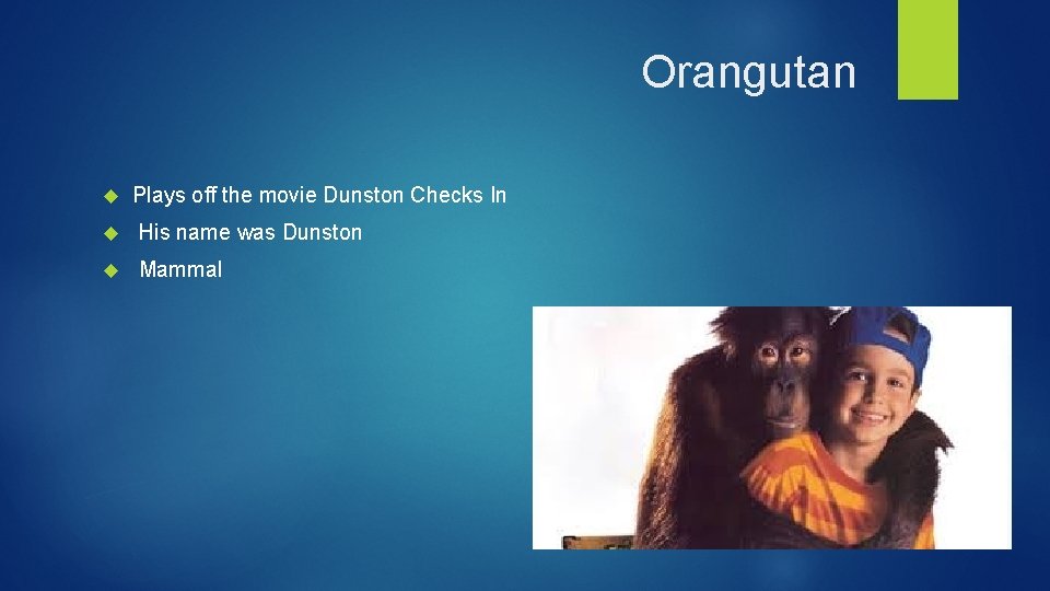 Orangutan Plays off the movie Dunston Checks In His name was Dunston Mammal 