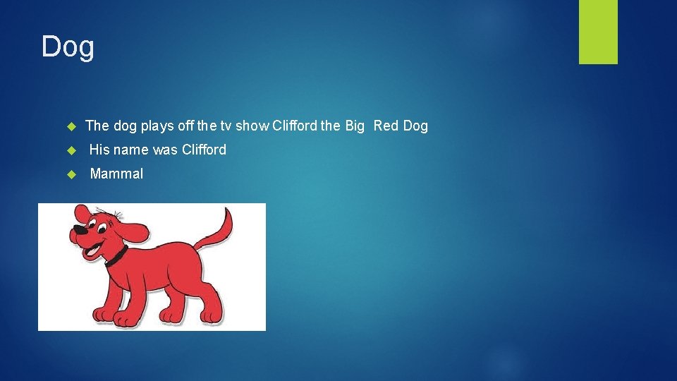 Dog The dog plays off the tv show Clifford the Big Red Dog His