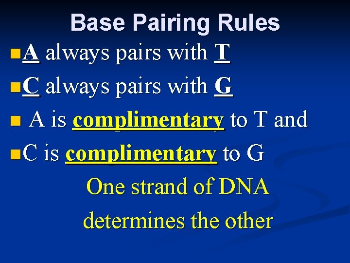 Base Pairing Rules n A always pairs with T n C always pairs with