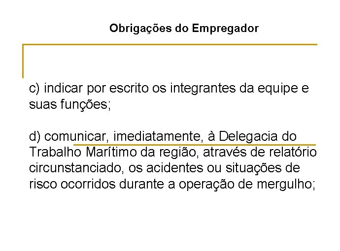 Obrigações do Empregador c) indicar por escrito os integrantes da equipe e suas funções;