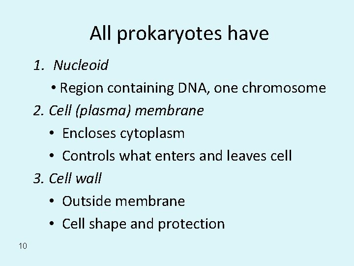 All prokaryotes have 1. Nucleoid • Region containing DNA, one chromosome 2. Cell (plasma)