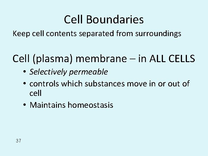 Cell Boundaries Keep cell contents separated from surroundings Cell (plasma) membrane – in ALL