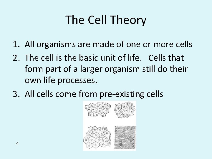 The Cell Theory 1. All organisms are made of one or more cells 2.