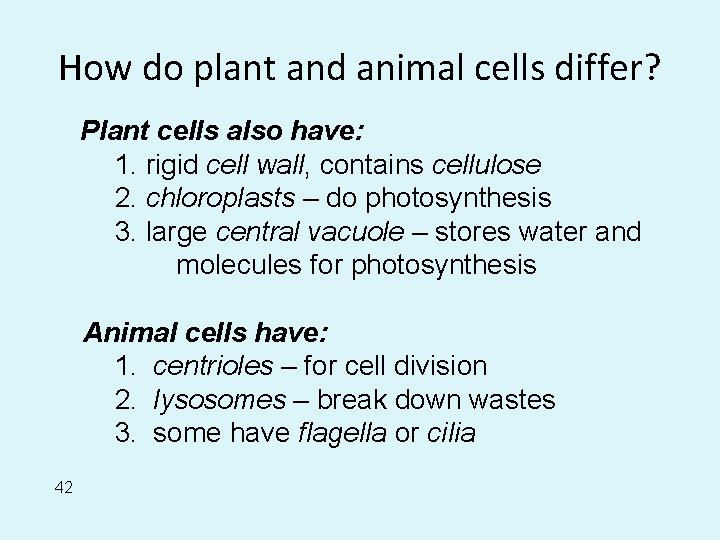 How do plant and animal cells differ? Plant cells also have: 1. rigid cell