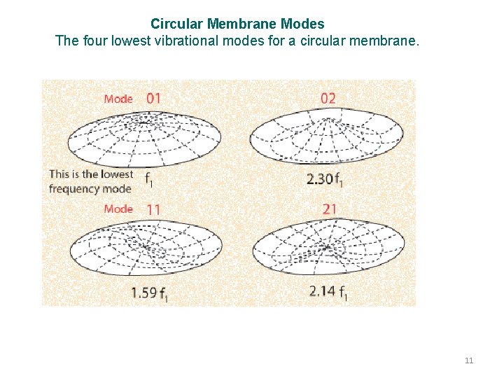 Circular Membrane Modes The four lowest vibrational modes for a circular membrane. 11 