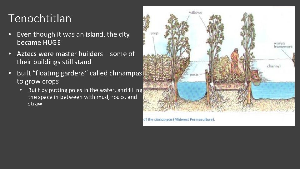 Tenochtitlan • Even though it was an island, the city became HUGE • Aztecs