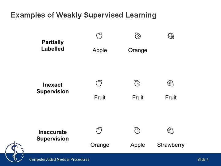 Examples of Weakly Supervised Learning Computer Aided Medical Procedures Slide 4 