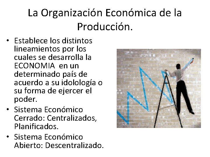 La Organización Económica de la Producción. • Establece los distintos lineamientos por los cuales