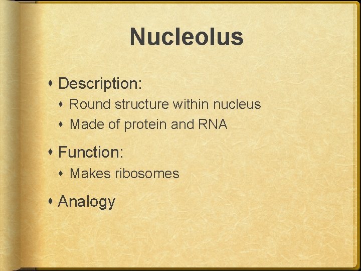 Nucleolus Description: Round structure within nucleus Made of protein and RNA Function: Makes ribosomes