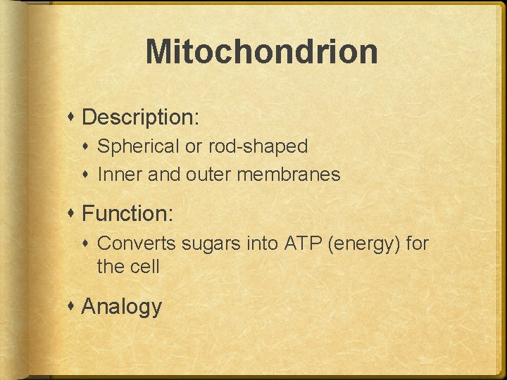 Mitochondrion Description: Spherical or rod-shaped Inner and outer membranes Function: Converts sugars into ATP