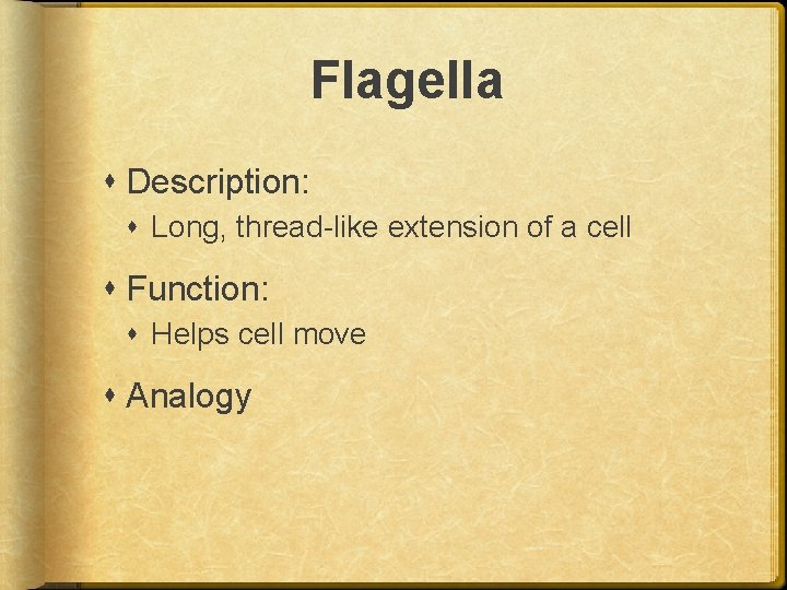 Flagella Description: Long, thread-like extension of a cell Function: Helps cell move Analogy 