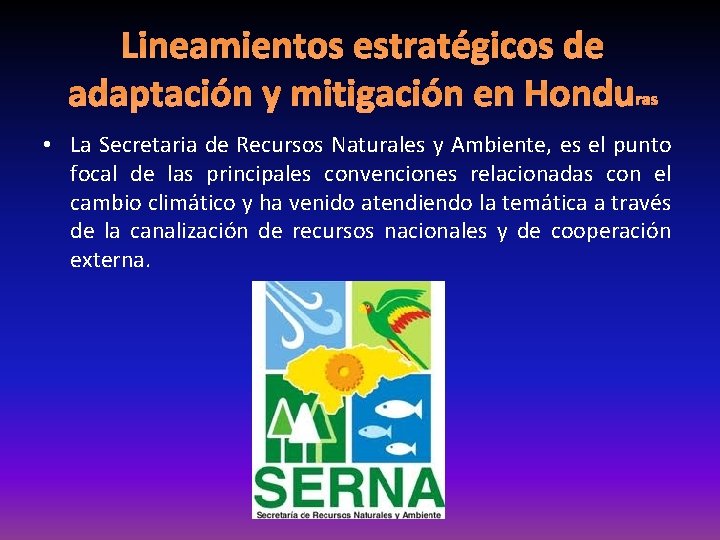 Lineamientos estratégicos de adaptación y mitigación en Honduras • La Secretaria de Recursos Naturales