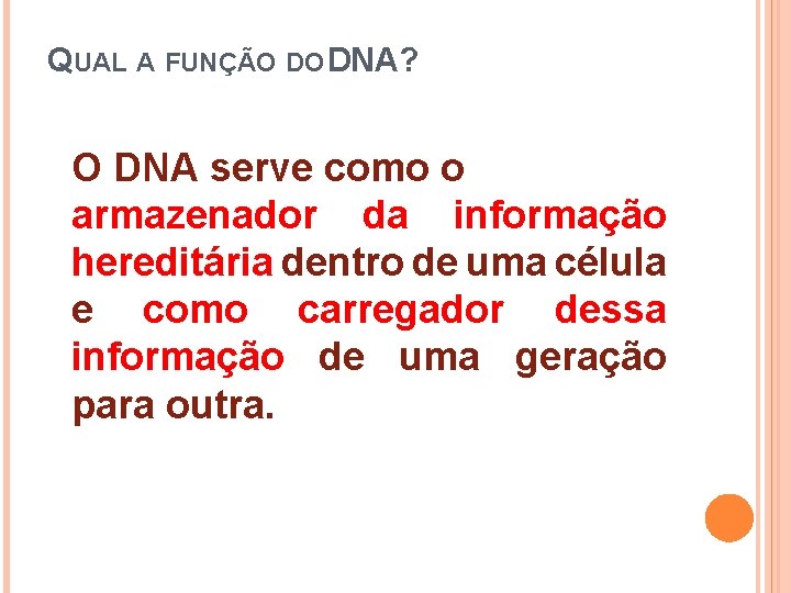QUAL A FUNÇÃO DO DNA? O DNA serve como o armazenador da informação hereditária