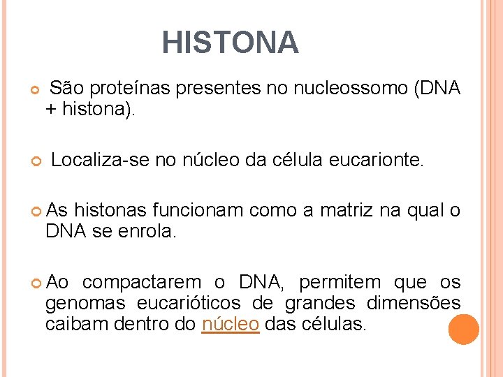 HISTONA São proteínas presentes no nucleossomo (DNA + histona). Localiza-se no núcleo da célula