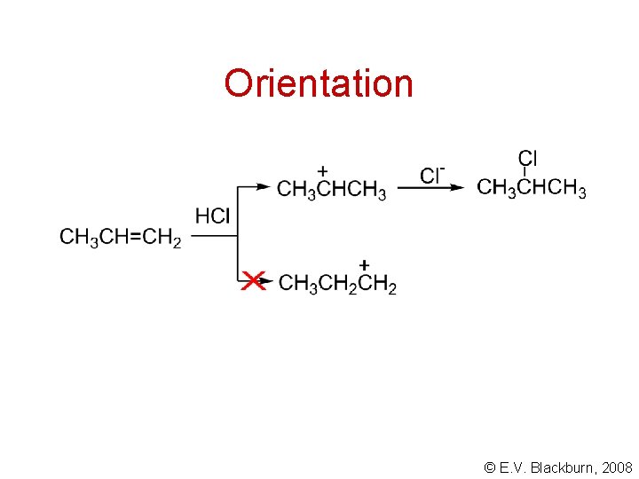 Orientation © E. V. Blackburn, 2008 