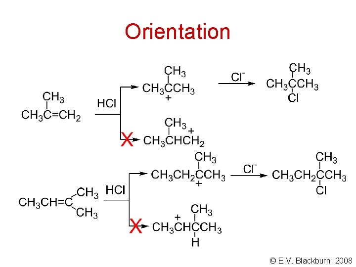 Orientation © E. V. Blackburn, 2008 