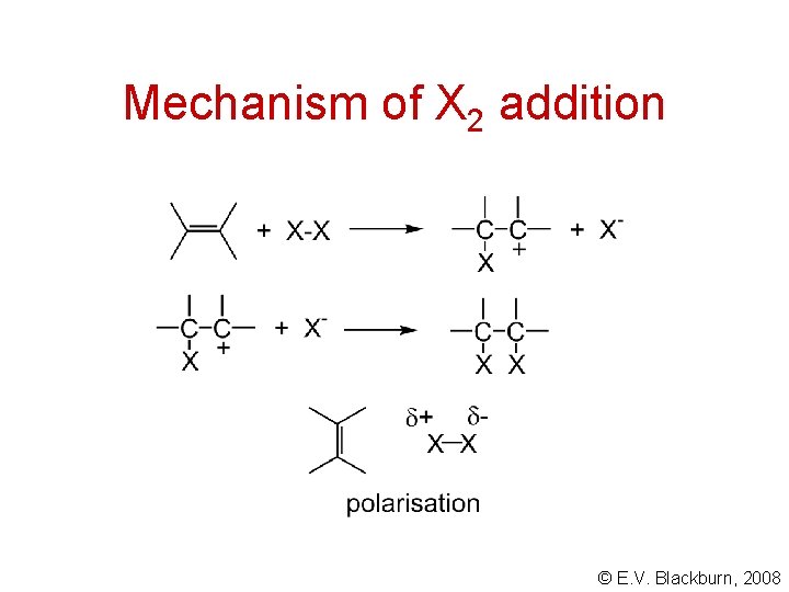 Mechanism of X 2 addition © E. V. Blackburn, 2008 