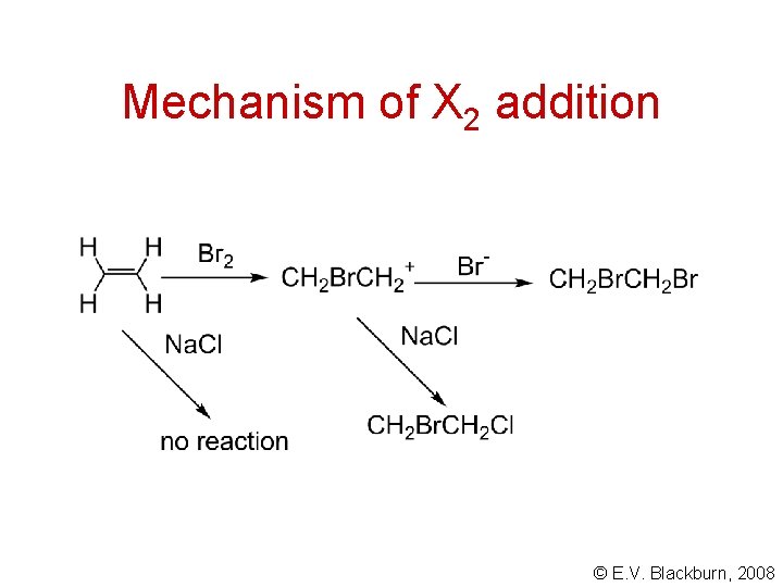Mechanism of X 2 addition © E. V. Blackburn, 2008 