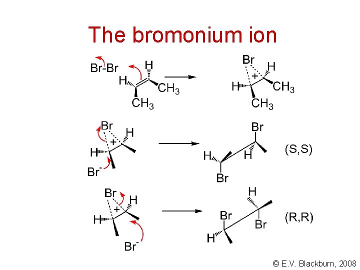 The bromonium ion (S, S) © E. V. Blackburn, 2008 