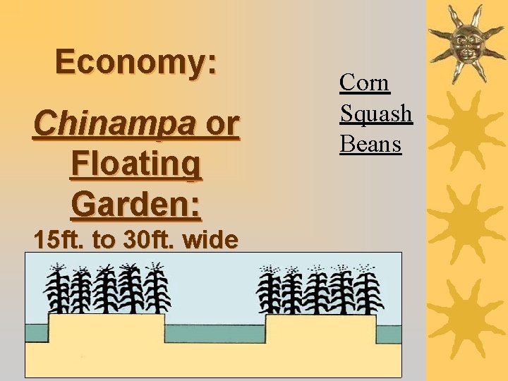 Economy: Chinampa or Floating Garden: 15 ft. to 30 ft. wide Corn Squash Beans