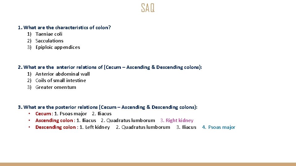 SAQ 1. What are the characteristics of colon? 1) Taeniae coli 2) Sacculations 3)