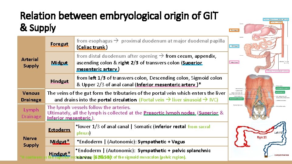 Relation between embryological origin of GIT & Supply Arterial Supply Venous Drainage Lymph Drainage