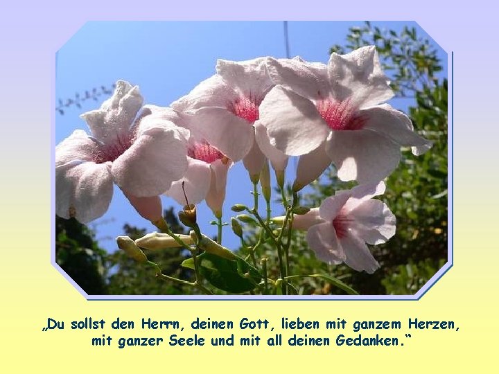 „Du sollst den Herrn, deinen Gott, lieben mit ganzem Herzen, mit ganzer Seele und