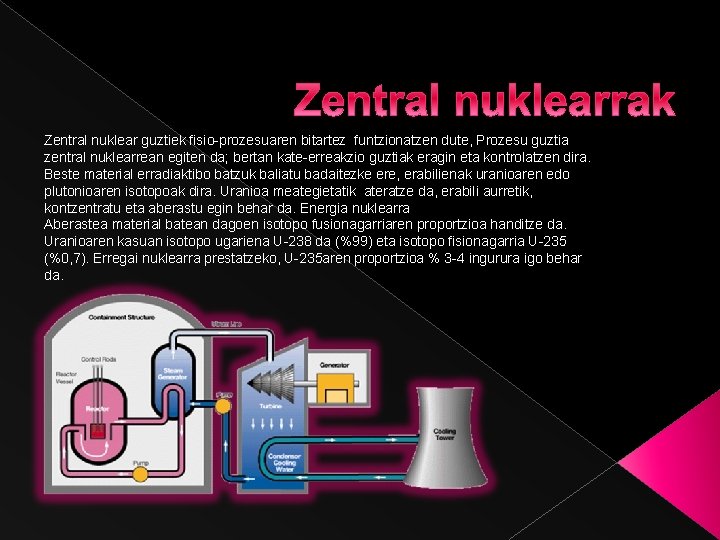 Zentral nuklear guztiek fisio-prozesuaren bitartez funtzionatzen dute, Prozesu guztia zentral nuklearrean egiten da; bertan