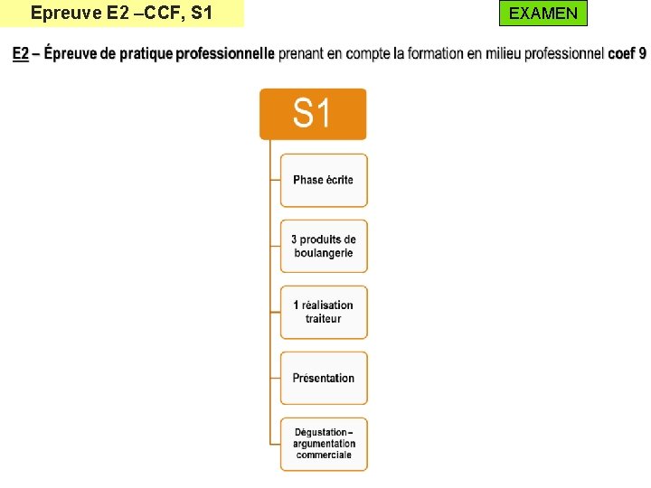 Epreuve E 2 –CCF, S 1 EXAMEN 