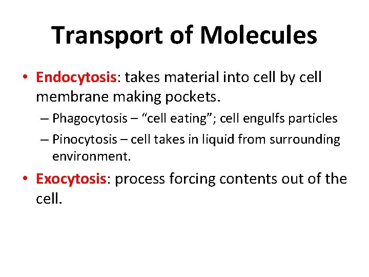 Transport of Molecules • Endocytosis: takes material into cell by cell membrane making pockets.