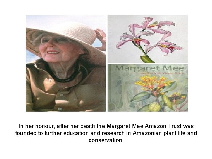 In her honour, after her death the Margaret Mee Amazon Trust was founded to