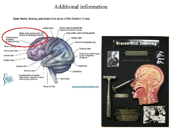 Additional information 