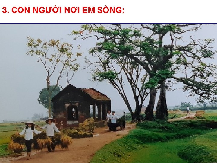 3. CON NGƯỜI NƠI EM SỐNG: 