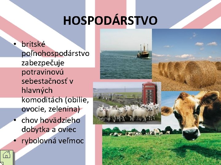 HOSPODÁRSTVO • britské poľnohospodárstvo zabezpečuje potravinovú sebestačnosť v hlavných komoditách (obilie, ovocie, zelenina) •