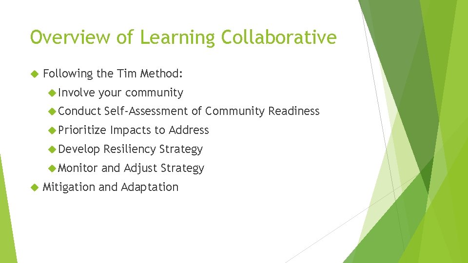 Overview of Learning Collaborative Following the Tim Method: Involve your community Conduct Self-Assessment of