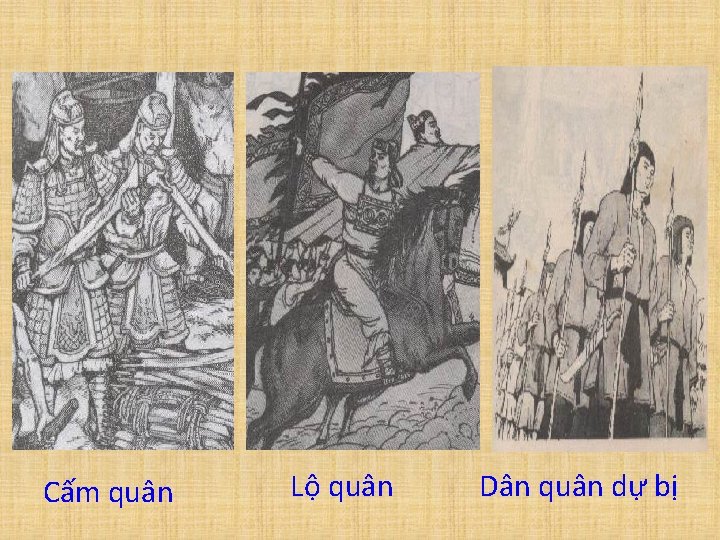 Cấm quân Lộ quân Dân quân dự bị 