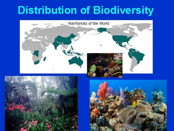 Distribution of Biodiversity 