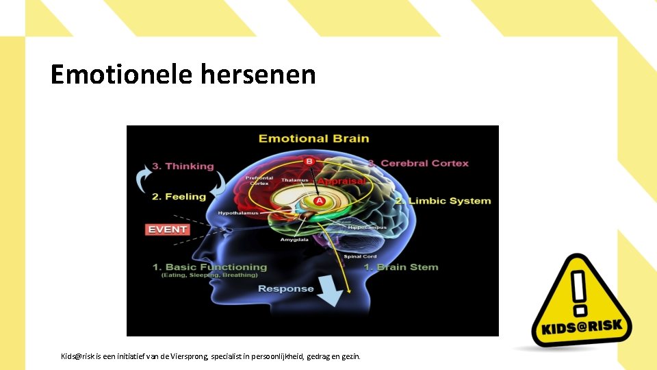 Emotionele hersenen Kids@risk is een initiatief van de Viersprong, specialist in persoonlijkheid, gedrag en