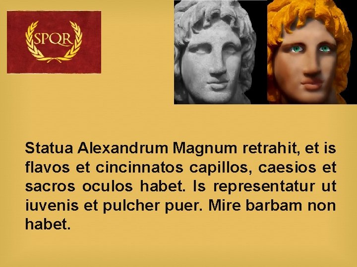 Statua Alexandrum Magnum retrahit, et is flavos et cincinnatos capillos, caesios et sacros oculos