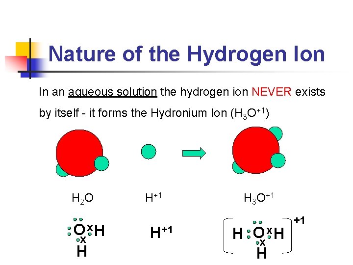 Nature of the Hydrogen Ion In an aqueous solution the hydrogen ion NEVER exists