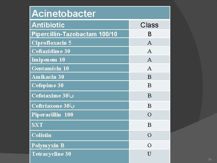 Acinetobacter Antibiotic Class Pipercillin-Tazobactam 100/10 Ciprofloxacin 5 Ceftazidime 30 Imipenem 10 Gentamicin 10 Amikacin