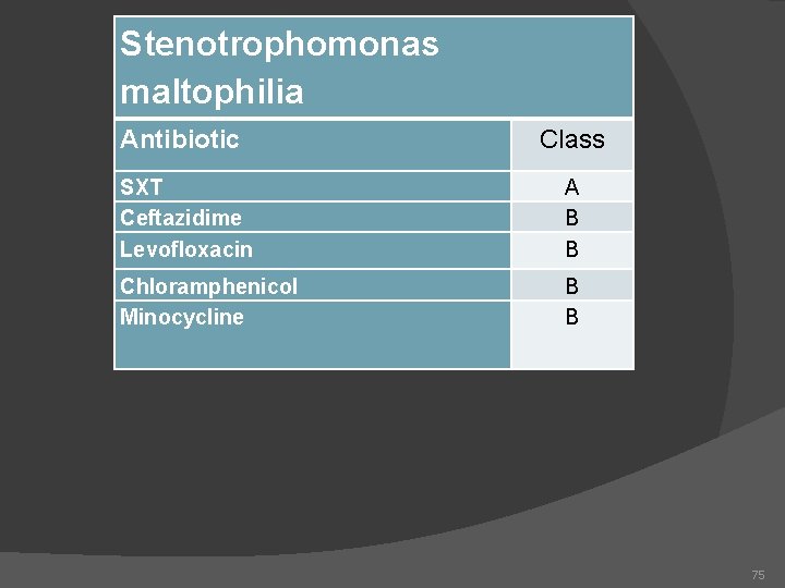 Stenotrophomonas maltophilia Antibiotic Class SXT Ceftazidime Levofloxacin A B B Chloramphenicol Minocycline B B