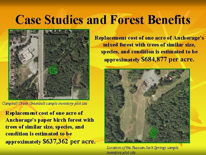 Case Studies and Forest Benefits Replacement cost of one acre of Anchorage’s mixed forest