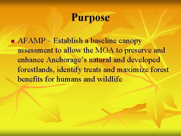 Purpose n AFAMP – Establish a baseline canopy assessment to allow the MOA to