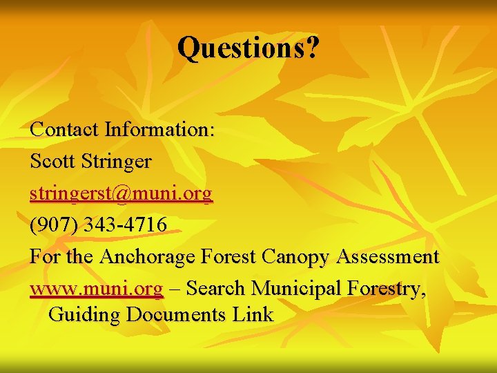 Questions? Contact Information: Scott Stringer stringerst@muni. org (907) 343 -4716 For the Anchorage Forest