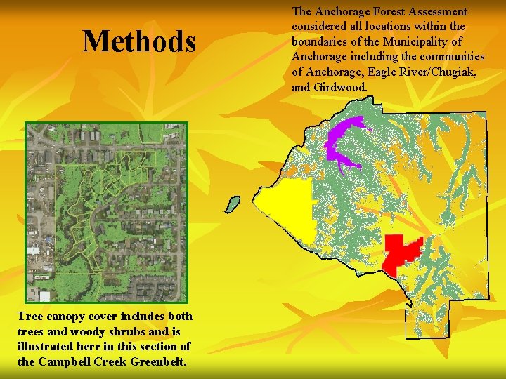 Methods Tree canopy cover includes both trees and woody shrubs and is illustrated here